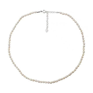 Simple Pearl Fashion Necklace